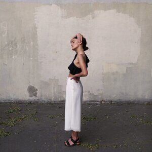 Aritzia Babaton Lazarus Culotte Pants